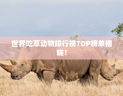 世界吃草动物排行榜TOP榜单揭晓！