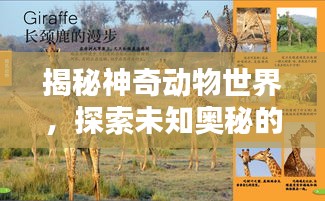 揭秘神奇动物世界，探索未知奥秘的专题推文