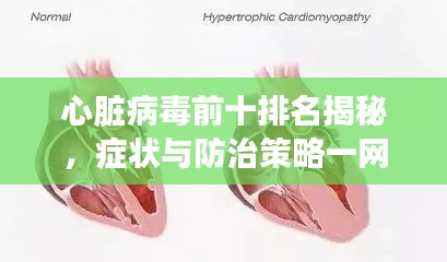心脏病毒前十排名揭秘，症状与防治策略一网打尽