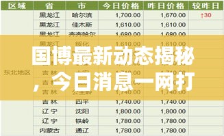国博最新动态揭秘，今日消息一网打尽