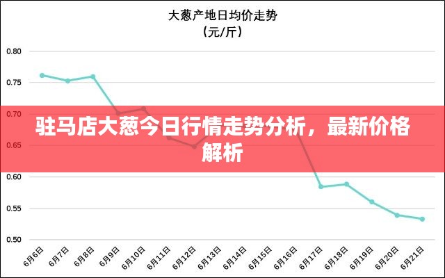驻马店大葱今日行情走势分析，最新价格解析