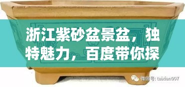 浙江紫砂盆景盆，独特魅力，百度带你探索！