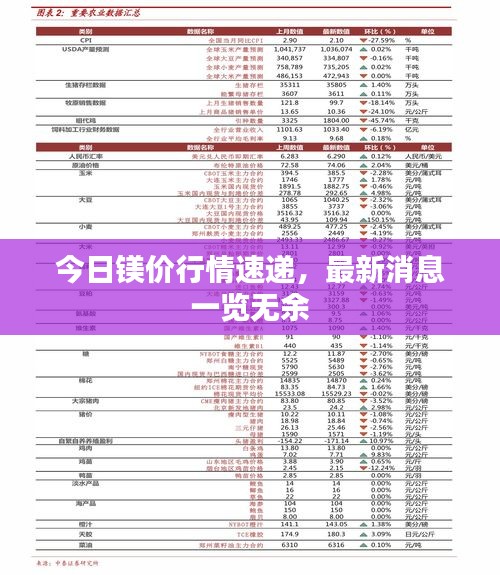 今日镁价行情速递，最新消息一览无余