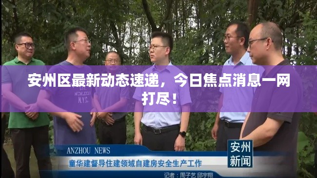 安州区最新动态速递，今日焦点消息一网打尽！