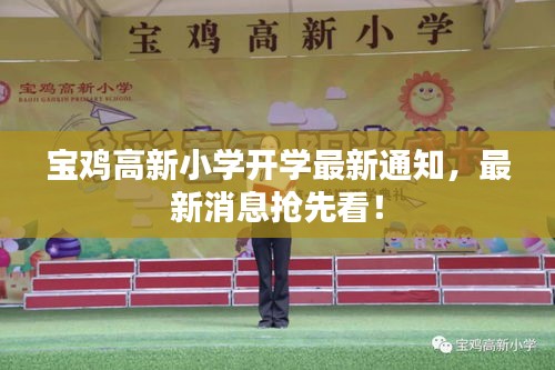 宝鸡高新小学开学最新通知，最新消息抢先看！
