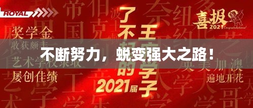 不断努力，蜕变强大之路！