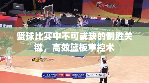 篮球比赛中不可或缺的制胜关键，高效篮板掌控术