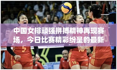 中国女排顽强拼搏精神再现赛场，今日比赛精彩纷呈的最新消息