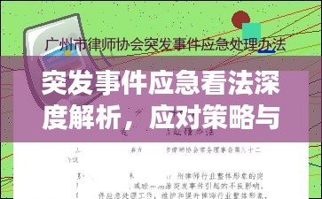 突发事件应急看法深度解析，应对策略与启示