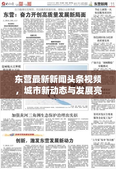 东营最新新闻头条视频，城市新动态与发展亮点一网打尽