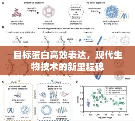 目标蛋白高效表达，现代生物技术的新里程碑