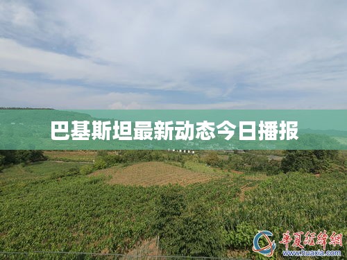 巴基斯坦最新动态今日播报
