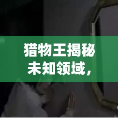 猎物王揭秘未知领域，携手百度追寻真理足迹
