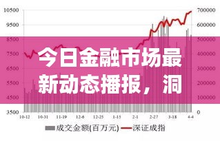 今日金融市场最新动态播报，洞悉金融趋势，把握市场脉搏