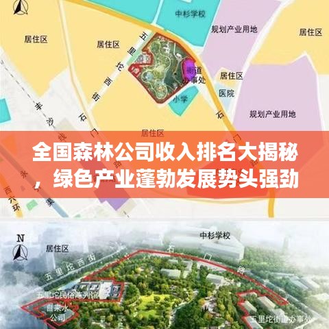 全国森林公司收入排名大揭秘，绿色产业蓬勃发展势头强劲
