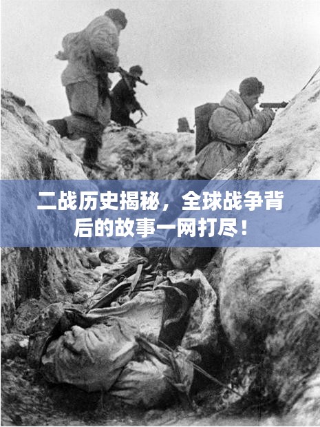 二战历史揭秘，全球战争背后的故事一网打尽！