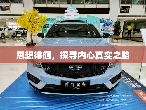思想徘徊，探寻内心真实之路