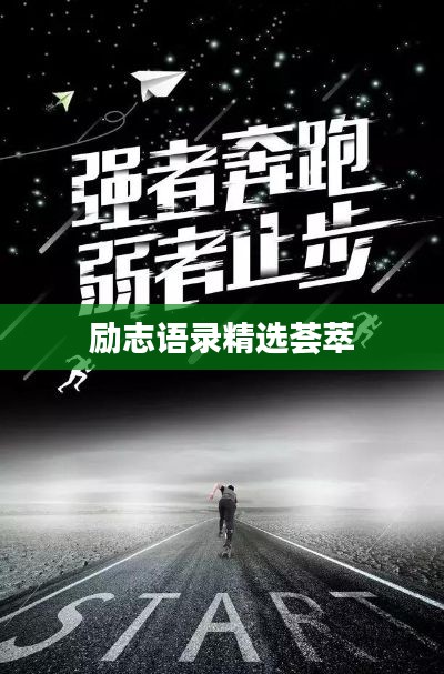 励志语录精选荟萃