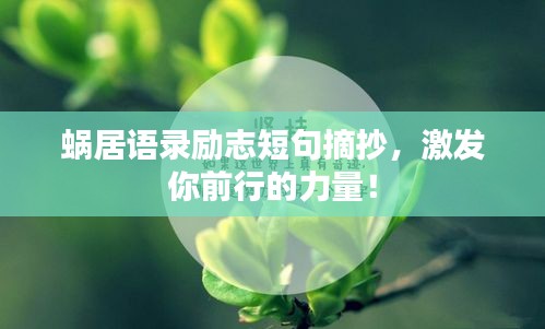 蜗居语录励志短句摘抄，激发你前行的力量！