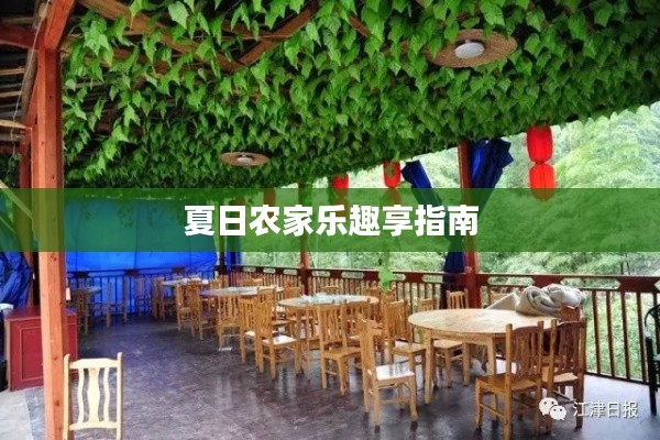 夏日农家乐趣享指南