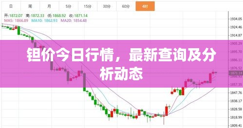 钽价今日行情，最新查询及分析动态