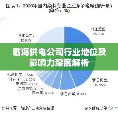 临海供电公司行业地位及影响力深度解析