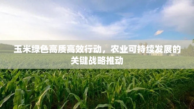玉米绿色高质高效行动，农业可持续发展的关键战略推动