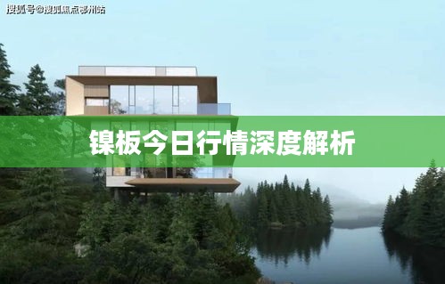 镍板今日行情深度解析