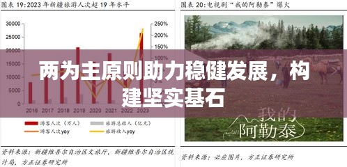 两为主原则助力稳健发展，构建坚实基石