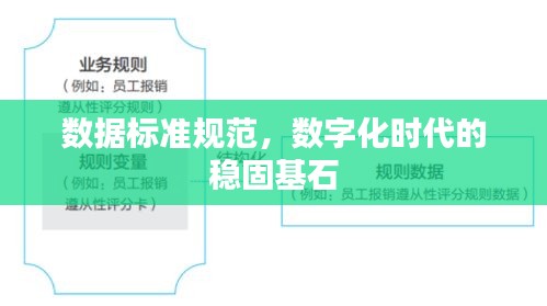 数据标准规范，数字化时代的稳固基石