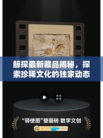 鲸探最新藏品揭秘，探索珍稀文化的独家动态