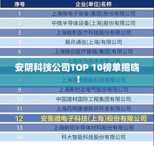 安阴科技公司TOP 10榜单揭晓！