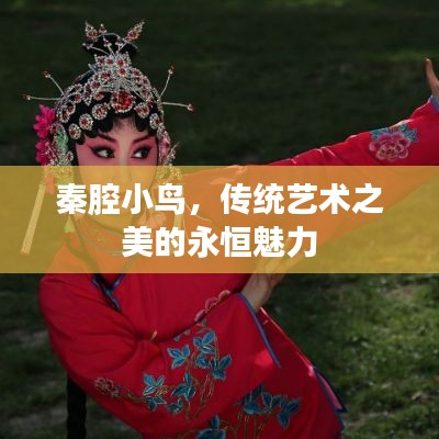 秦腔小鸟，传统艺术之美的永恒魅力