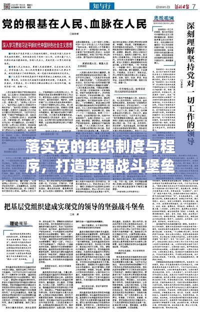 落实党的组织制度与程序，打造坚强战斗堡垒的核心之道