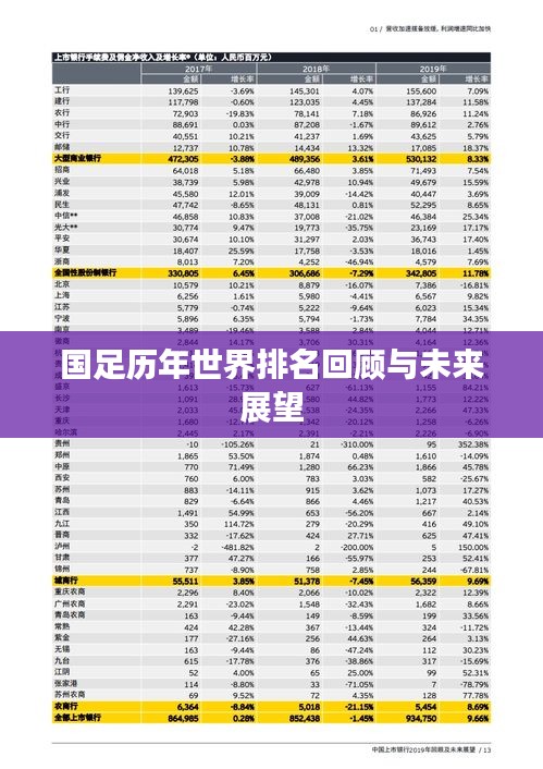 国足历年世界排名回顾与未来展望