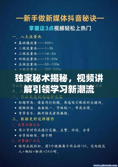 独家秘术揭秘，视频讲解引领学习新潮流