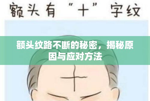 额头纹路不断的秘密，揭秘原因与应对方法