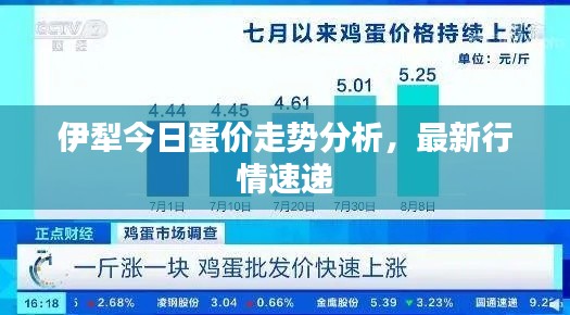 伊犁今日蛋价走势分析，最新行情速递