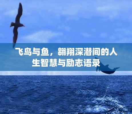 飞鸟与鱼，翱翔深潜间的人生智慧与励志语录
