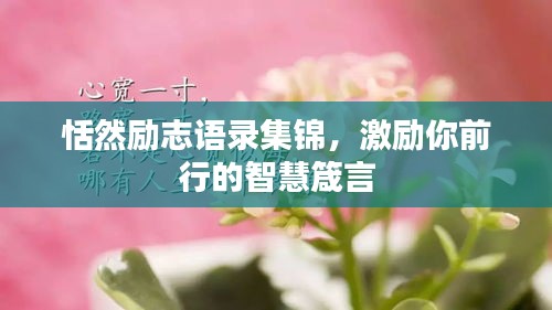 恬然励志语录集锦，激励你前行的智慧箴言