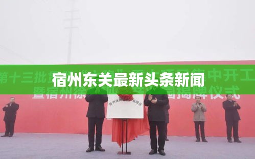 宿州东关最新头条新闻