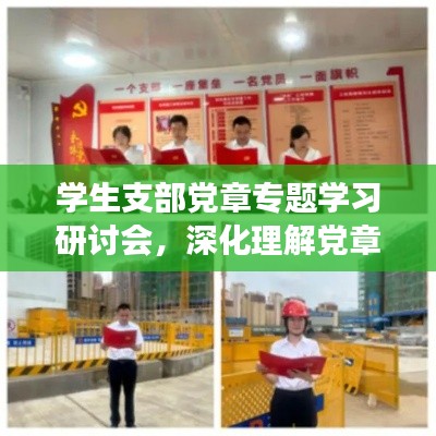 学生支部党章专题学习研讨会，深化理解党章精神，引领青年党员成长之路