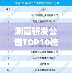 测量研发公司TOP10榜单揭晓，引领行业发展的领军企业风采展示