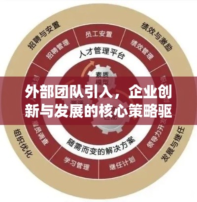 外部团队引入，企业创新与发展的核心策略驱动力