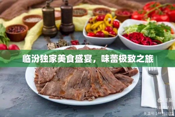 临汾独家美食盛宴，味蕾极致之旅