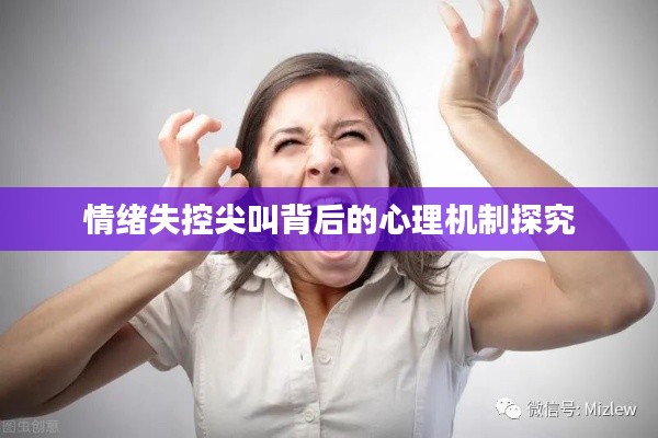 情绪失控尖叫背后的心理机制探究