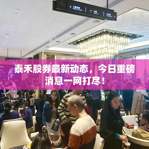 泰禾股券最新动态，今日重磅消息一网打尽！