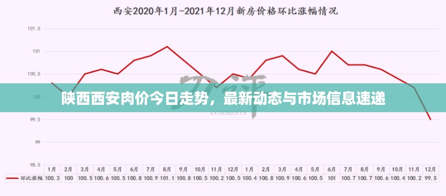 陕西西安肉价今日走势，最新动态与市场信息速递