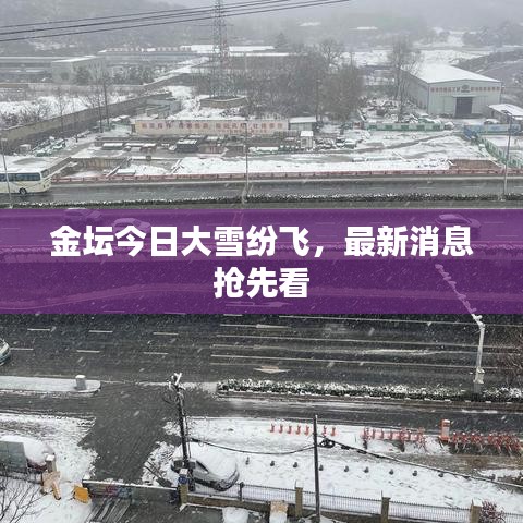 金坛今日大雪纷飞，最新消息抢先看