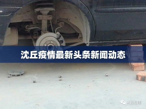 沈丘疫情最新头条新闻动态